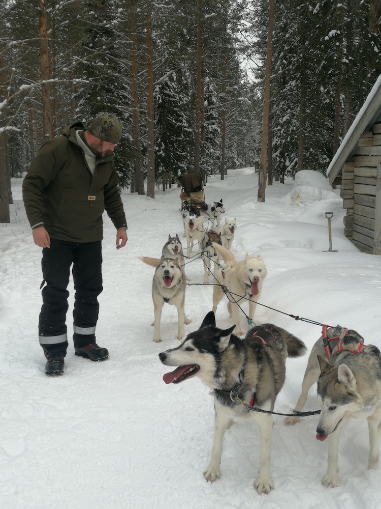 Reise nach Lappland, Connys Mutausbruch, diealltagsfeierin.de Huskies